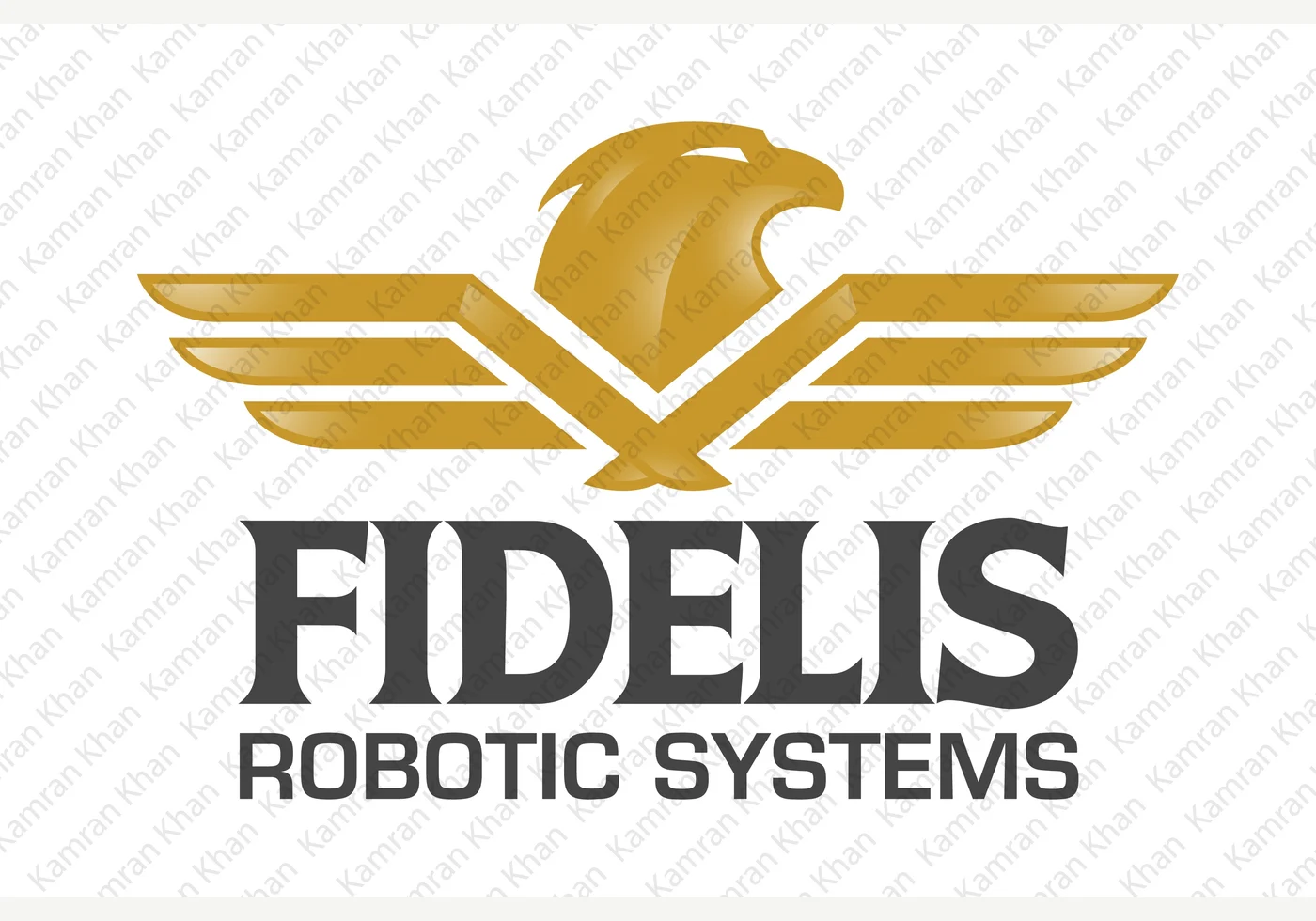 Fidelis identity and logo design by Kami